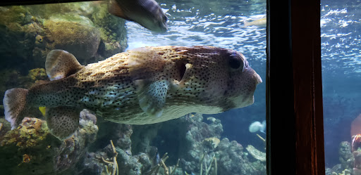 Tourist Attraction «Seattle CityPASS», reviews and photos, 400 Broad St, Seattle, WA 98109, USA