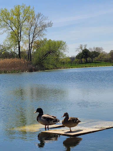 Park «Marquette Park», reviews and photos, 6743 S Kedzie Ave, Chicago, IL 60629, USA