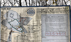 Morgan Conservation Park