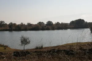 Priyutskiy Pond image