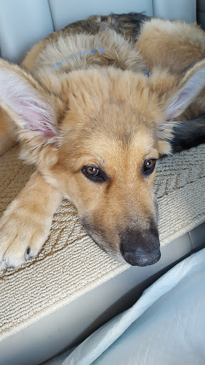 Bowling Alley «River City Lanes», reviews and photos, 965 W Seltice Way, Post Falls, ID 83854, USA