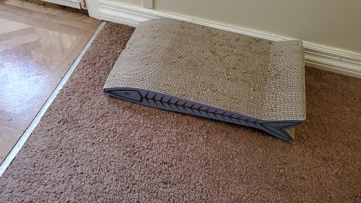 Pet Supply Store «Pet Supermarket», reviews and photos, 2924 13th St, St Cloud, FL 34769, USA