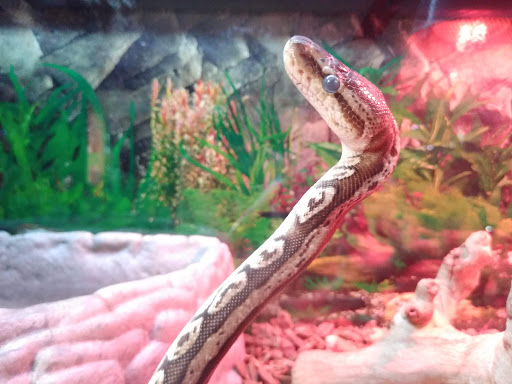 Pet Supply Store «Pet Station Jackson», reviews and photos, 1617 E Michigan Ave, Jackson, MI 49202, USA