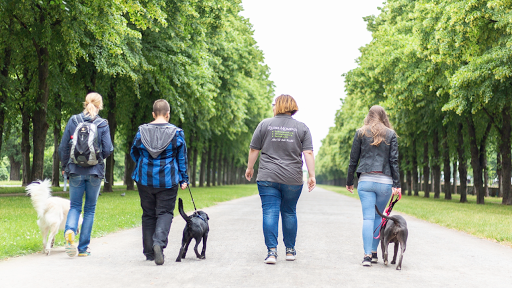 Hundeschule RudelMomente