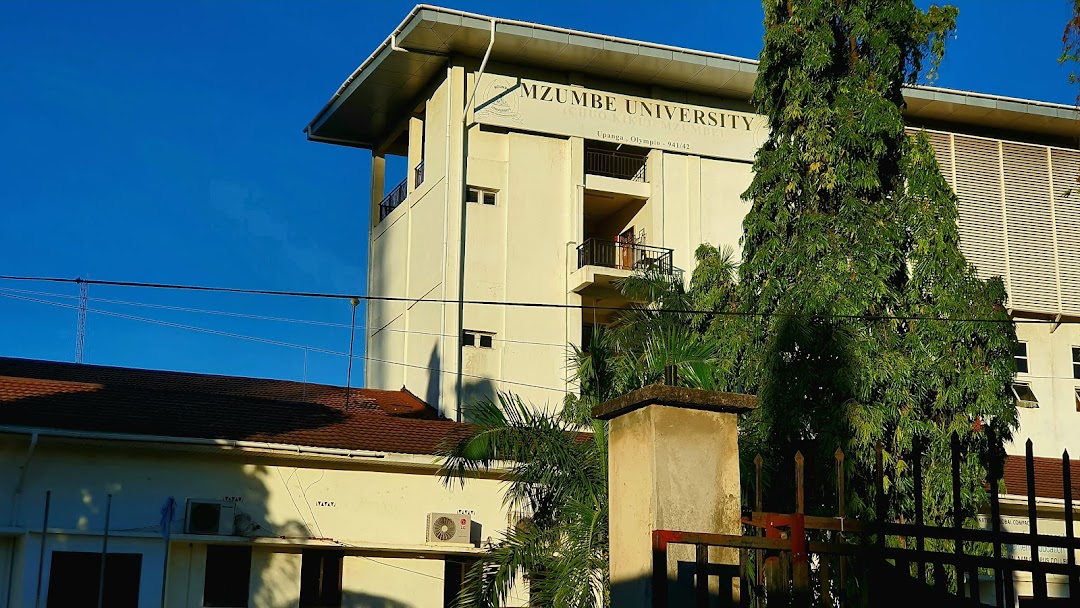 Mzumbe University Dar Es Salaam College