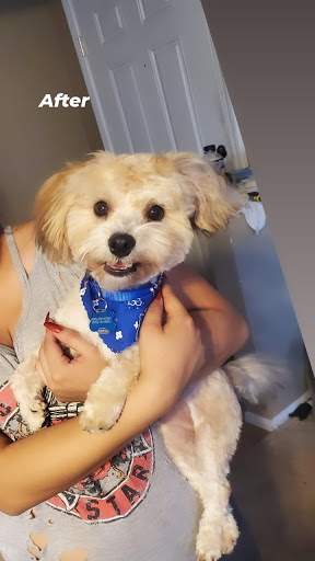 Pet Groomer «Woof Gang Bakery & Grooming Las Vegas», reviews and photos, 7080 N Durango Dr #140, Las Vegas, NV 89149, USA