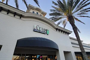 The Shoppes Of Ponte Vedra image