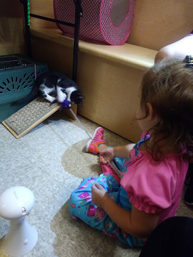 Pet Supply Store «PetSmart», reviews and photos, 2101 NJ-35, Holmdel, NJ 07733, USA