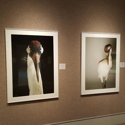 Art Museum «MONA», reviews and photos, 2401 Central Ave, Kearney, NE 68847, USA