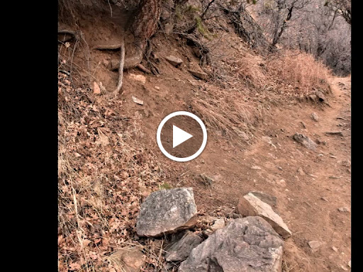 Tourist Attraction «Mount Falcon Park», reviews and photos, Castle Trail, Morrison, CO 80465, USA