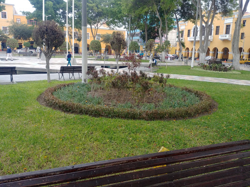 Jardín botánico Ica