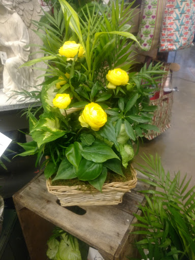 Florist «Chesterland Floral», reviews and photos, 12650 W Geauga Plaza, Chesterland, OH 44026, USA