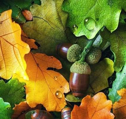 Supermarket «Jons Marketplace», reviews and photos, 600 E Colorado St, Glendale, CA 91205, USA