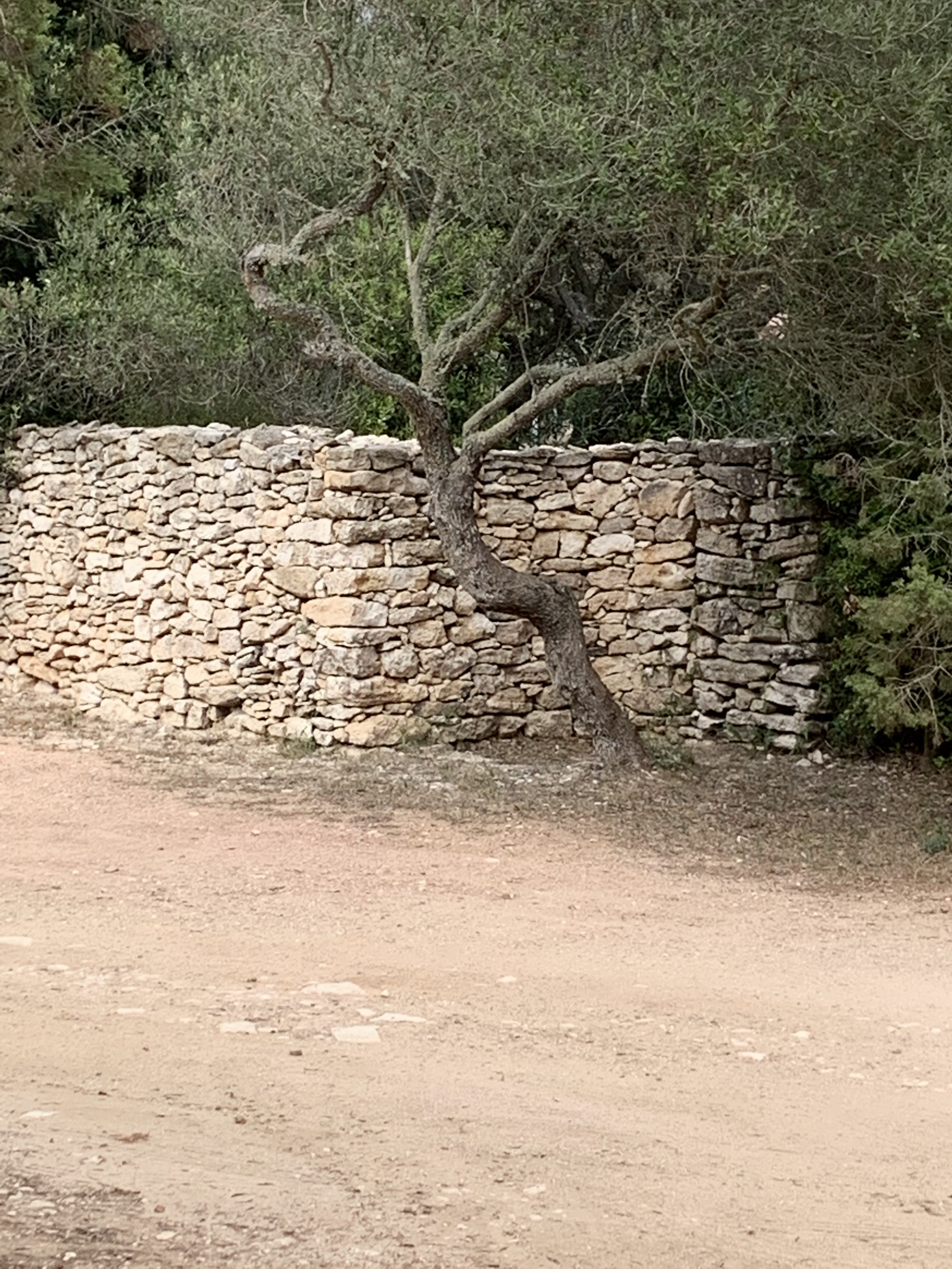 Photo n° 9 de l'avis de Gerard.O fait le 16/10/2019 à 14:08