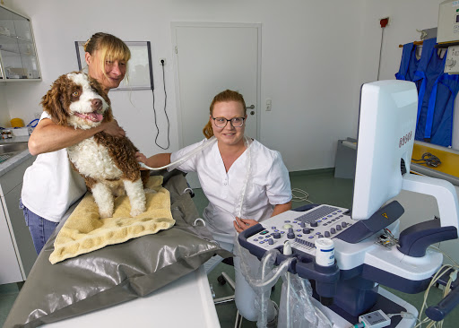 Tierarzt Dr. Gerhard Heim unter Scheinfeld, 