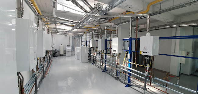 Minkowicko-Polna 6, 55-220 Wójcice