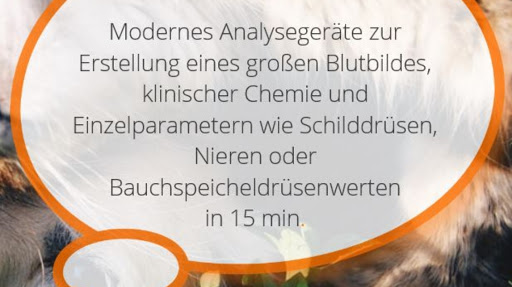 Kleintierpraxis Döhren unter Hanover, 