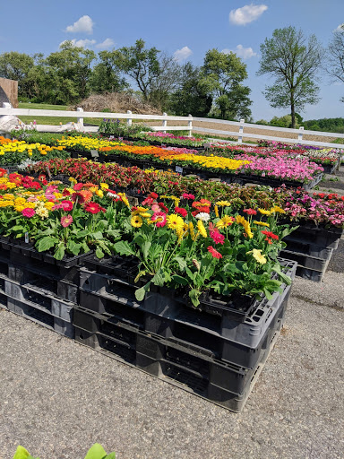 Greenhouse «Country Grapevine», reviews and photos, 510 N Hokendauqua Dr, Bath, PA 18014, USA