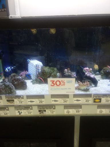 Pet Supply Store «Petco Animal Supplies», reviews and photos, 1019 Cochrane Rd, Morgan Hill, CA 95037, USA