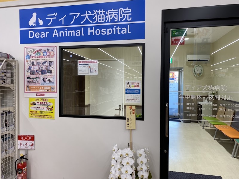 ディア犬猫病院