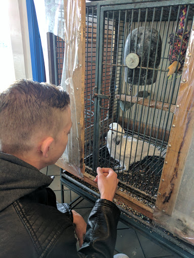 Car Wash «Pacific Car Wash Corporation», reviews and photos, 41080 Trimboli Way, Fremont, CA 94538, USA