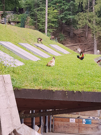 Freizeitpark Innsbruck