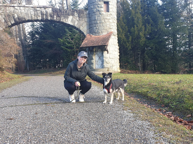 Happy Hounds Luzern - Hundeschule