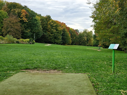 Parc Bourdon Disc Golf Hole 1