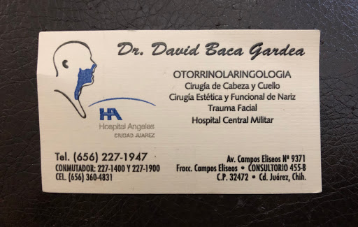 Dr. David Baca Gardea