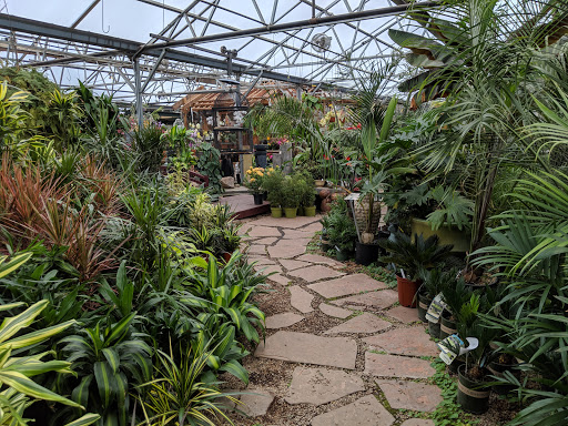 Plant Nursery «Sturtz & Copeland Florist & Greenhouses», reviews and photos, 2851 Valmont Rd, Boulder, CO 80301, USA