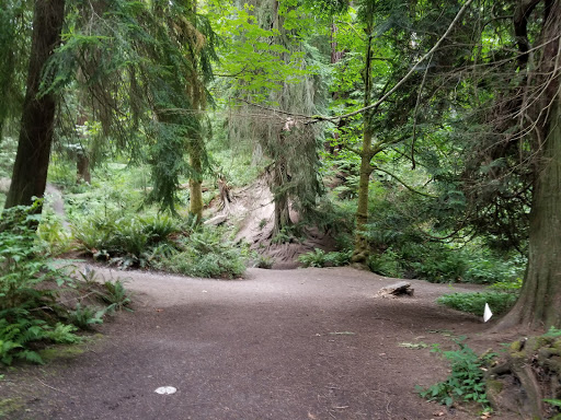 Park «Schmitz Preserve Park», reviews and photos, 5551 SW Admiral Way, Seattle, WA 98116, USA