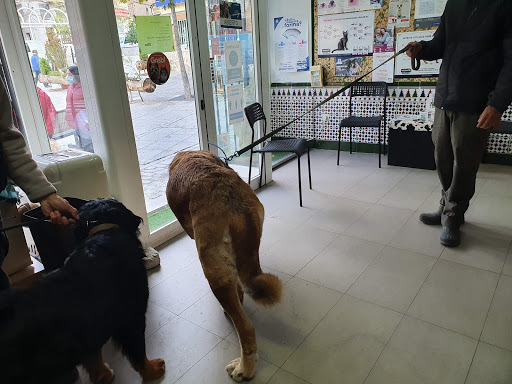 Centro Veterinario 7 Picos Cercedilla en Cercedilla