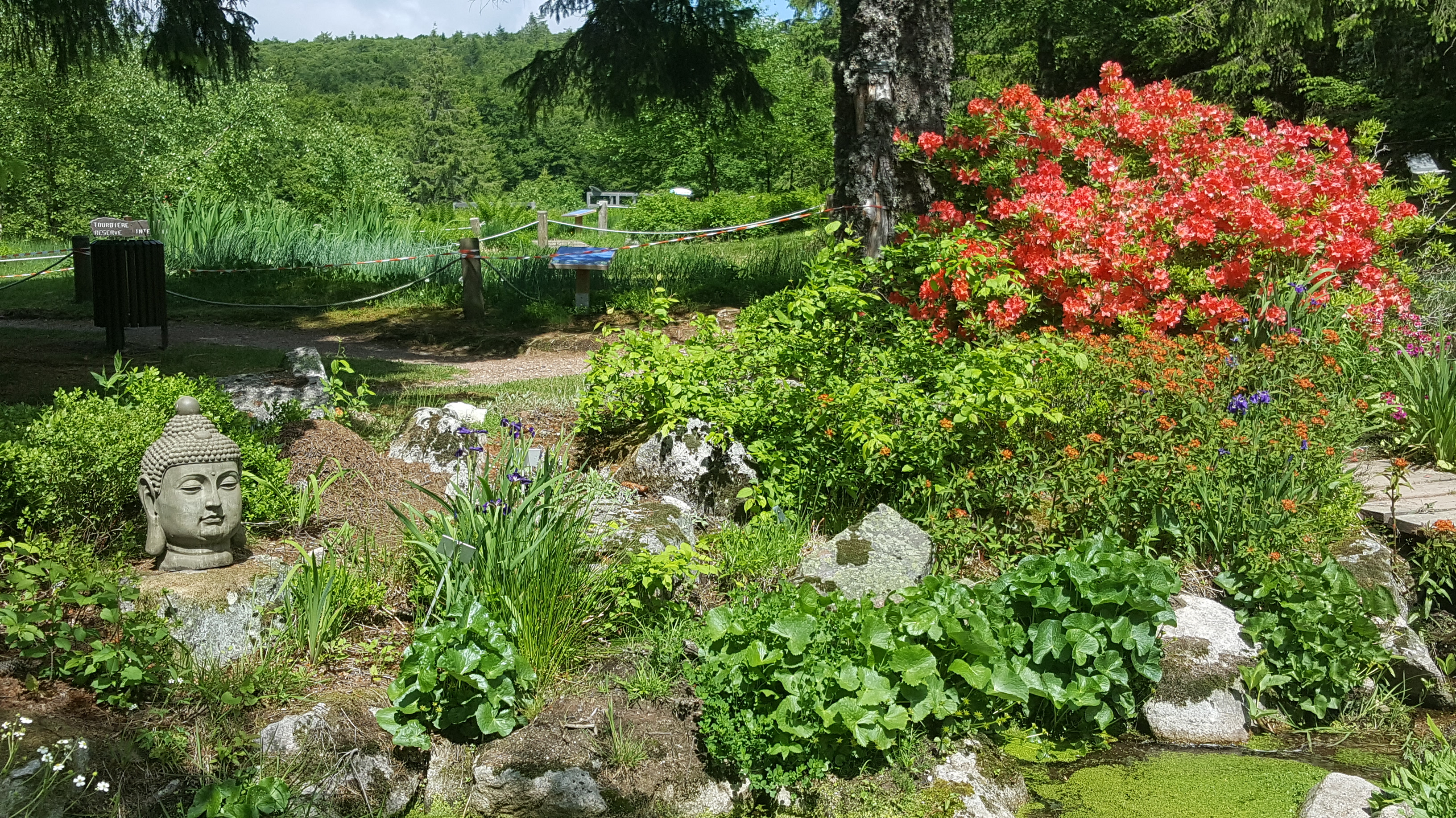 Photo n° 35 de l'avis de Jean-Sébastien.O fait le 23/06/2019 à 16:49
