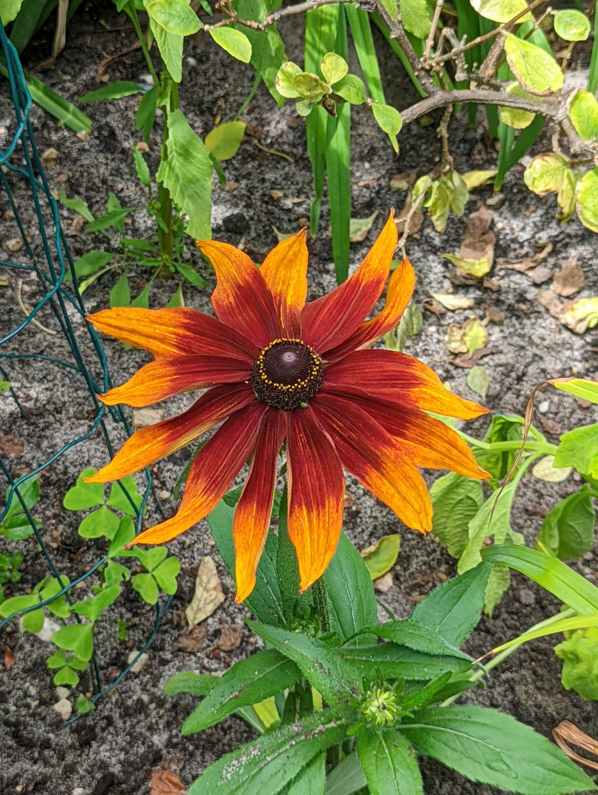 Photo n° 2 de l'avis de Marjorie.c fait le 10/06/2022 à 17:33