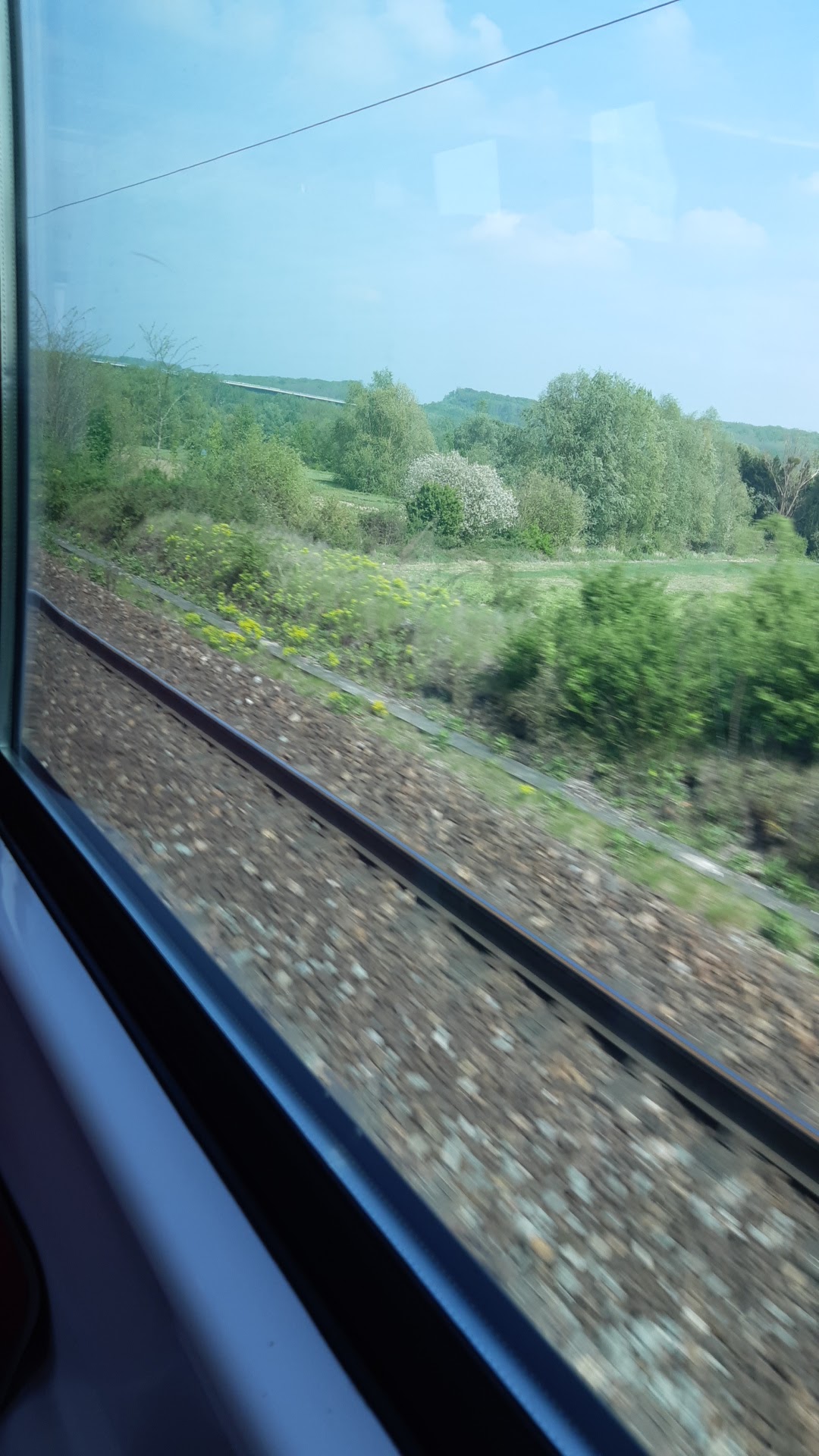 Photo n° 1 de l'avis de Anny. fait le 01/05/2019 à 14:04