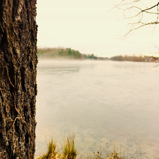 State Park «Cochituate State Park», reviews and photos, 43 Commonwealth Rd, Natick, MA 01760, USA