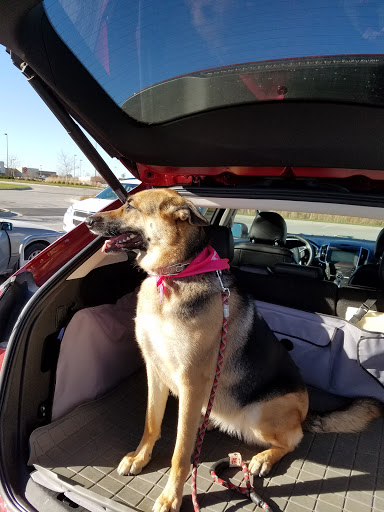 Pet Supply Store «PetSmart», reviews and photos, 815 McDermott Street, Council Bluffs, IA 51501, USA