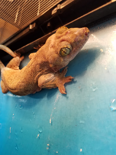 Tropical Fish Store «Pet Friendly Inc», reviews and photos, 845 Manitou Rd, Hilton, NY 14468, USA