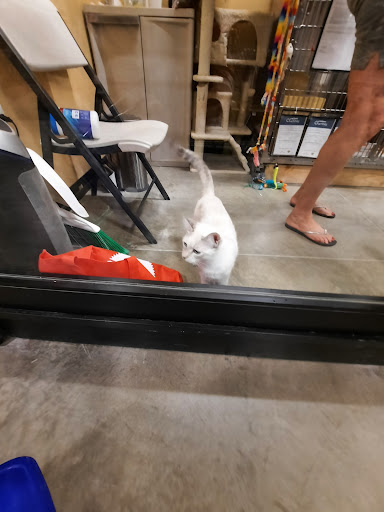 Pet Supply Store «PetSmart», reviews and photos, 1034 N El Camino Real, Encinitas, CA 92024, USA