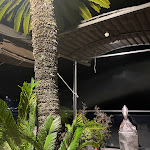 Photo n°3 de l'avis de Giorgia.o fait le 17/02/2024 à 09:51 sur le  Miranapoli à Naples