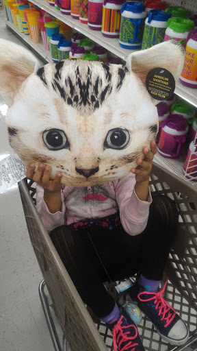 Craft Store «Michaels», reviews and photos, 2540 S Pleasant Valley Rd, Winchester, VA 22601, USA