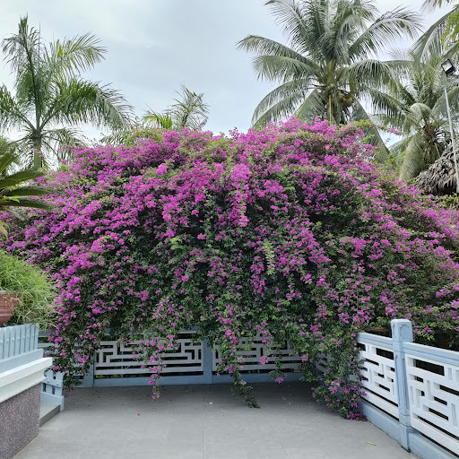 Top 20 mẫu cửa hàng đẹp Huyện Tịnh Biên An Giang 2022