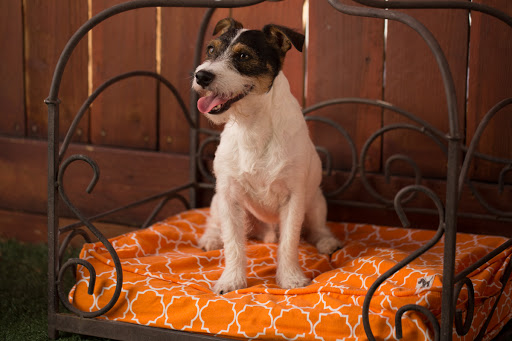 Wag Hotels - West Sacramento image
