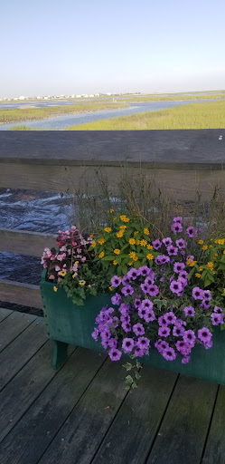 Park «Morse Park Landing», reviews and photos, 4939 US-17 BUS, Murrells Inlet, SC 29576, USA