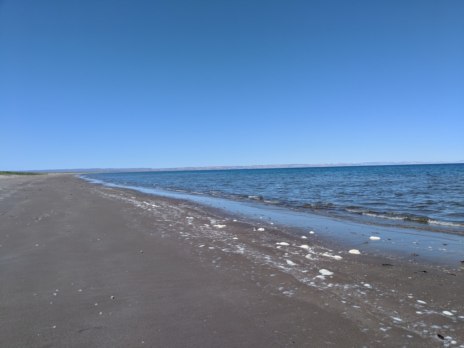 Fotografie cu Playa El Mogote cu o suprafață de apa pură turcoaz