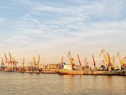 Одеський Морський Торговий Порт
