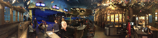 Sporting Goods Store «Bass Pro Shops», reviews and photos, 1 Bass Pro Dr, Bristol, TN 37621, USA
