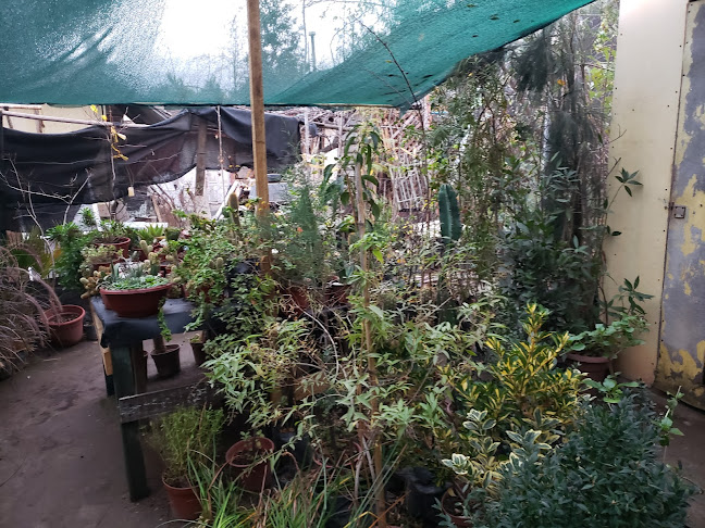 Las Araucarias - Centro de jardinería