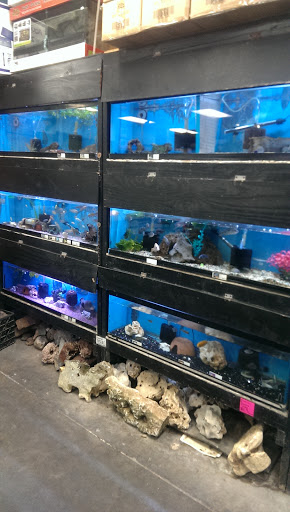 Aquarium «Tropical Treasures», reviews and photos, 3502 W Greenway Rd Suite 7, Phoenix, AZ 85053, USA