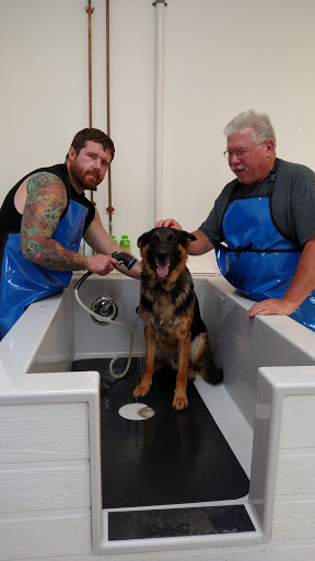 Pet Supply Store «Healthy Pet Center», reviews and photos, 775 New Loudon Rd, Latham, NY 12110, USA